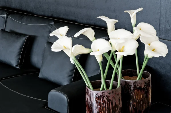 Design de interiores contemporâneo com sofá e flores — Fotografia de Stock