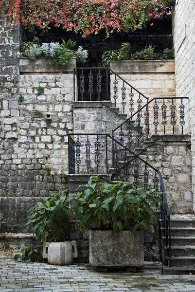 Лестница в Которную Черногорию — стоковое фото