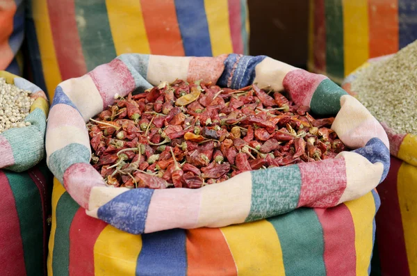 Dried chilli peppers in middle east souk market cairo egypt — Stock Photo, Image