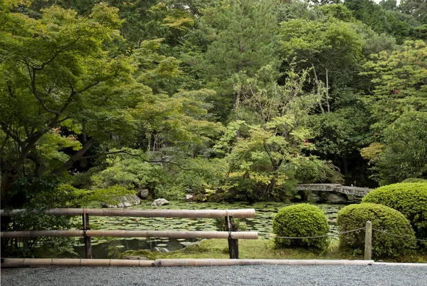 Japanese traditional garden in kyoto japan — Stock Photo, Image