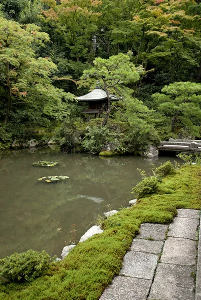 Japanse traditionele tuin in kyoto japan — Stockfoto