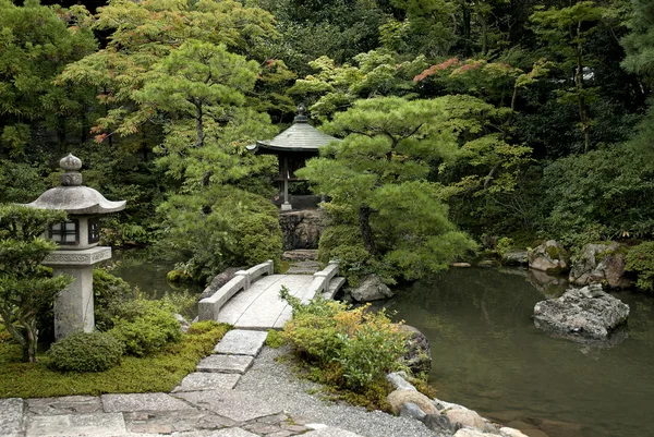 Японский традиционный сад в японском Киото — стоковое фото