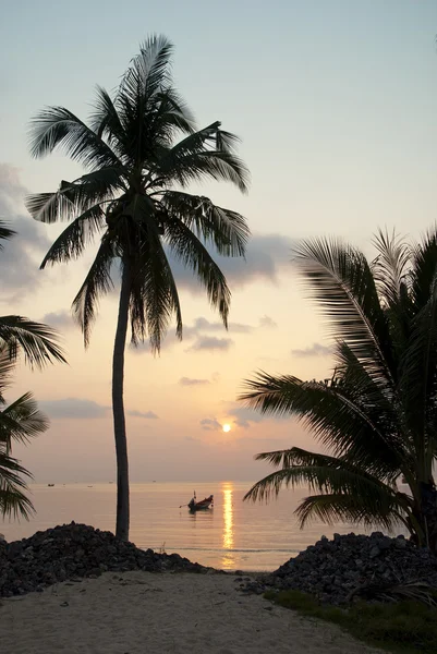 Ο φοίνικας ανεμόμυλων και βάρκες στο ηλιοβασίλεμα σε τροπικό νησί — Φωτογραφία Αρχείου