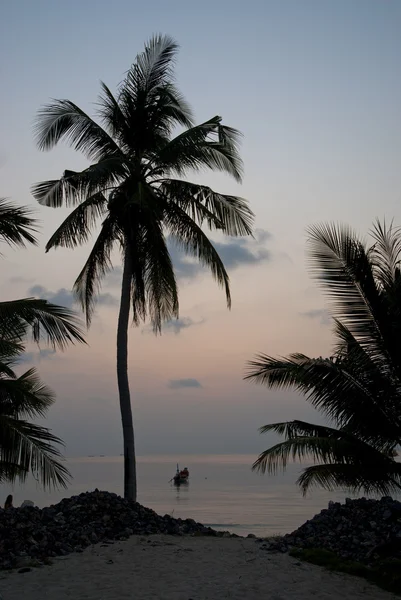Palm och båtar vid solnedgången på tropisk ö — Stockfoto