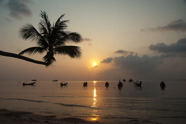 Ο φοίνικας ανεμόμυλων και βάρκες στο ηλιοβασίλεμα σε τροπικό νησί — Φωτογραφία Αρχείου