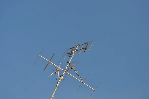 TV antenna-antenna — Stock Fotó