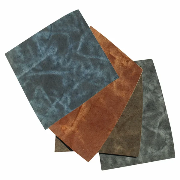 Leather sample — Stock Photo, Image