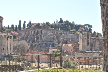 Roma Forumu, Roma