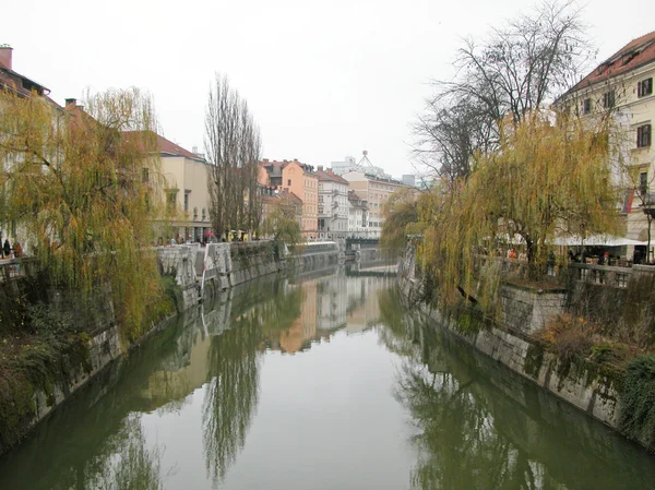 Ljubljana — Stockfoto