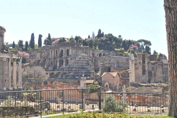 stock image Roman Forum, Rome