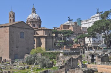 Roma Forumu, Roma