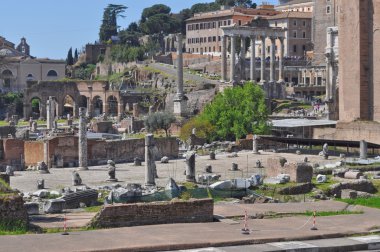 Roma Forumu, Roma