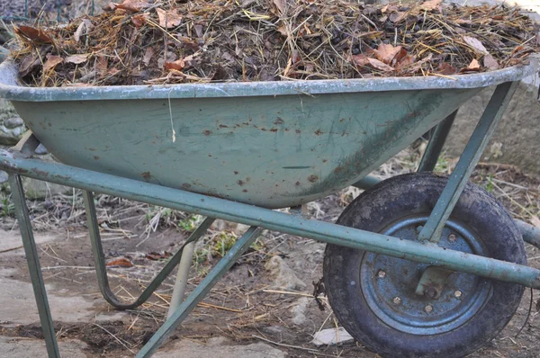 Vecchia carriola con compost — Foto Stock