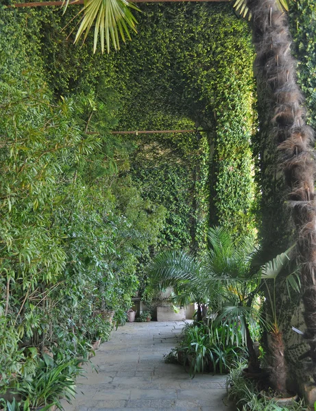 Botanická zahrada — Stock fotografie