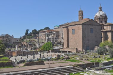 Roma Forumu, Roma