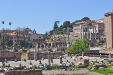 Roma Forumu, Roma