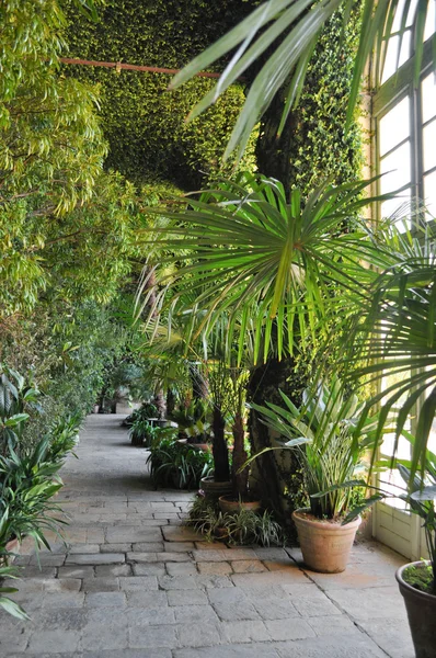 Ботанічний сад — стокове фото