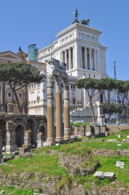 Roma Forumu, Roma