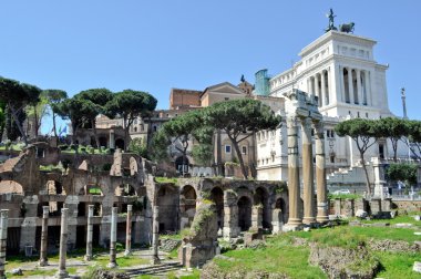 Roma Forumu, Roma