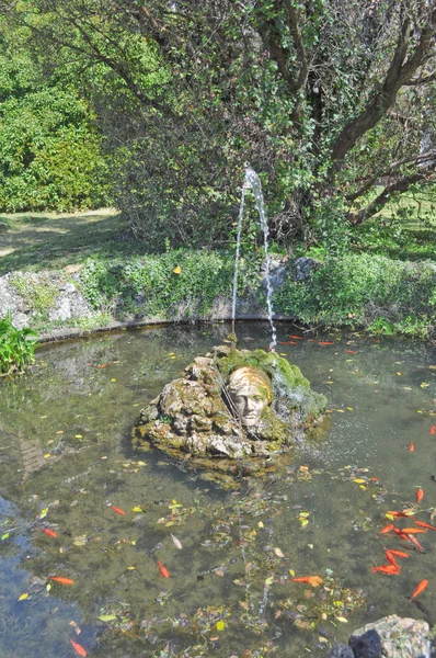 Aglie kasteel fontein — Stockfoto