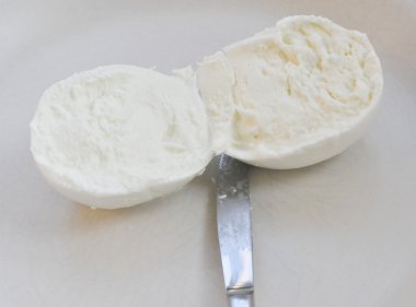 mozzarella peyniri