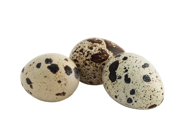Trzy jajkiem przepiórczym — Zdjęcie stockowe