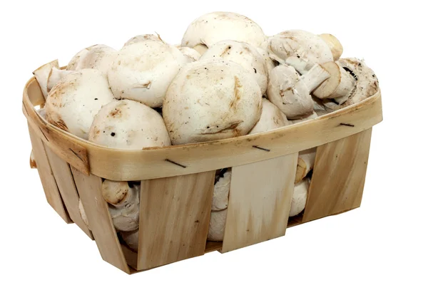 Mand met champignons — Stockfoto