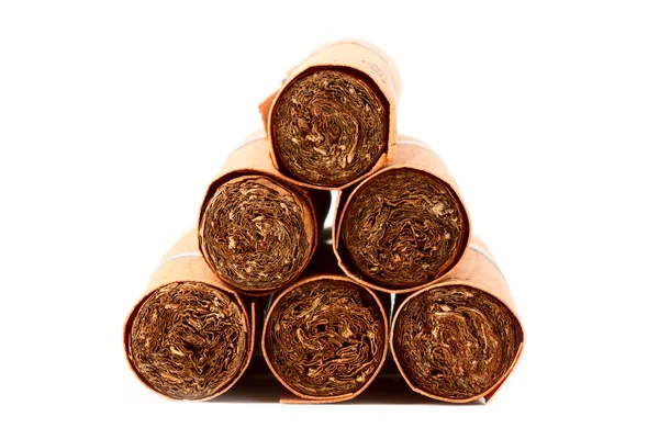 Sechs Zigarren in Deckeln — Stockfoto