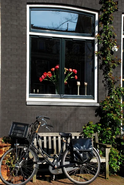 Bicycle and tulips — Stock Photo, Image