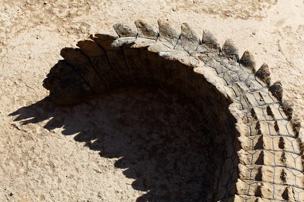 Queue de crocodile du Nil — Stock Photo, Image
