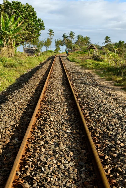 Rail de chemin de fer prêt de la gare d'Ambilo à Madagascar