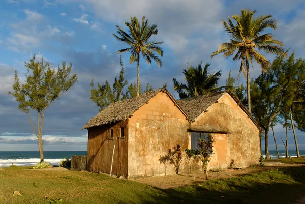 Maison traditionnelle, océan indien et cocotier — Stock Photo, Image