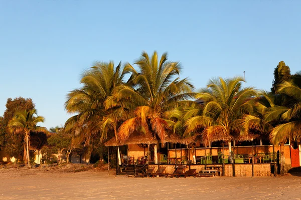 Terrasse dans les cocotiers sur la plage au levé du jour. — Stock Photo, Image