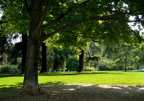 Осінній пейзаж у італійський парк. — стокове фото