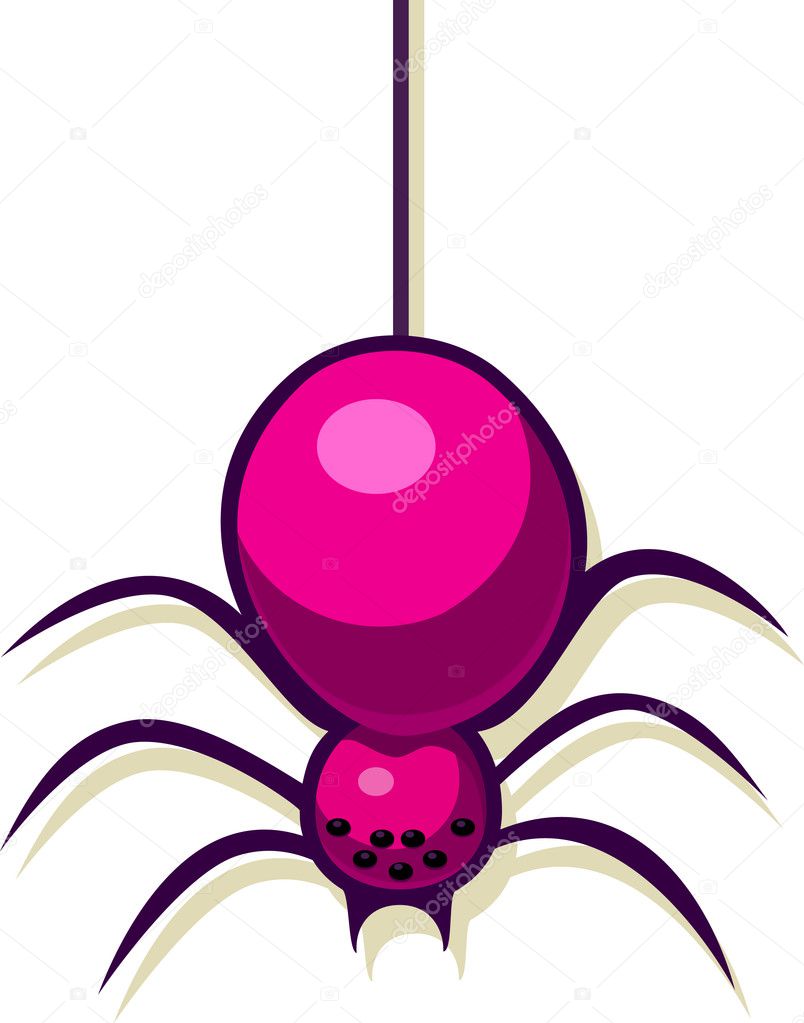 A vector illustration of a spider.