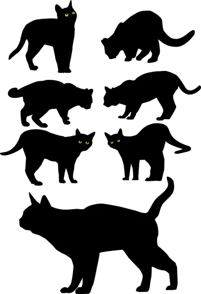 Kedi siyah siluetleri vektör — Stok Vektör