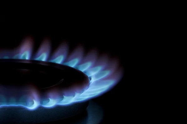 ガス炊飯器で青の炎 ロイヤリティフリーのストック画像