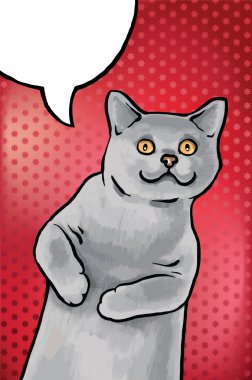 Blue British Shorthair cat. clipart