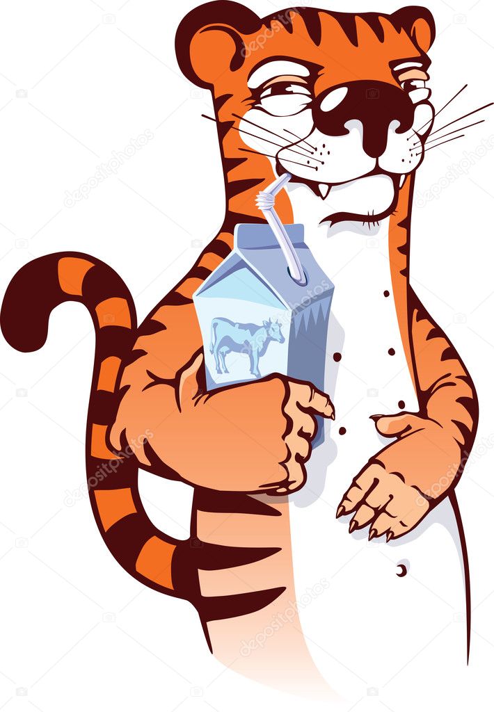 Sly tiger drinking milk.