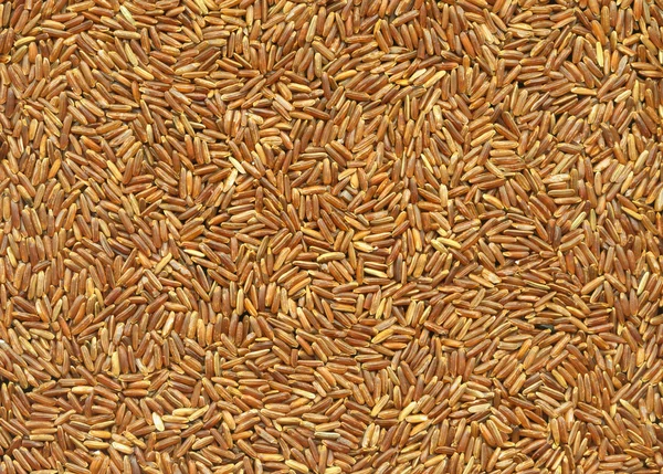 Textura do arroz — Fotografia de Stock