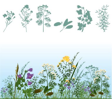 Herbs in meadow clipart