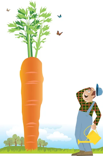 农夫和一根胡萝卜 — 图库矢量图片