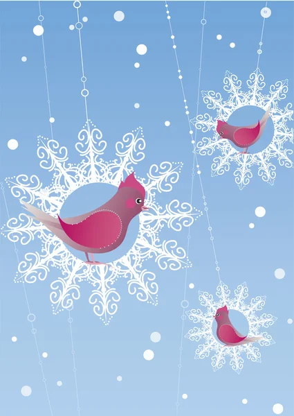 Winter birds — Stock Vector