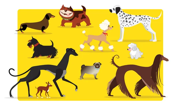 Caricature pour chiens — Image vectorielle