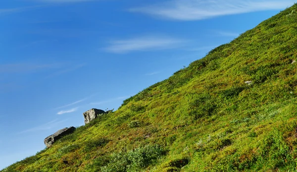 Fianco verde di collina e bias cielo blu . — Foto Stock