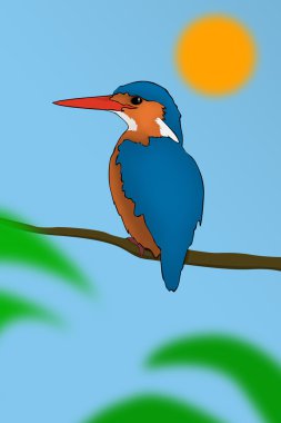 Kingfisher