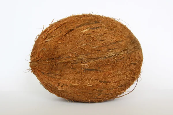 stock image Coconut