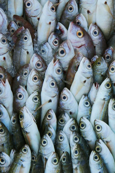 Box of Fish — Stock Photo, Image