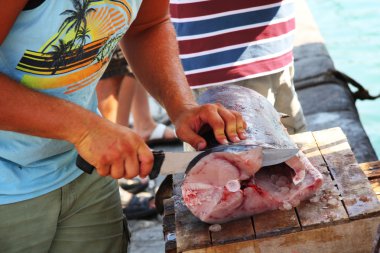 Greek fisherman clipart