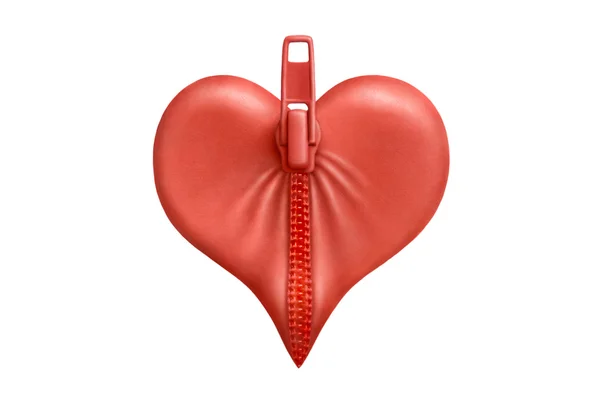 stock image Zipped heart